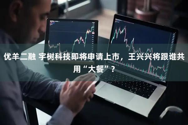 优羊二融 宇树科技即将申请上市，王兴兴将跟谁共用“大餐”？