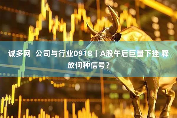 诚多网  公司与行业0918丨A股午后巨量下挫 释放何种信号？