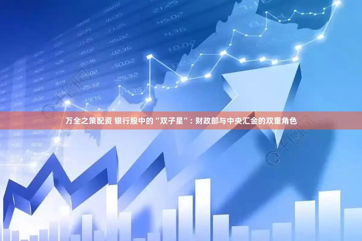 万全之策配资 银行股中的“双子星”: 财政部与中央汇金的双重角色