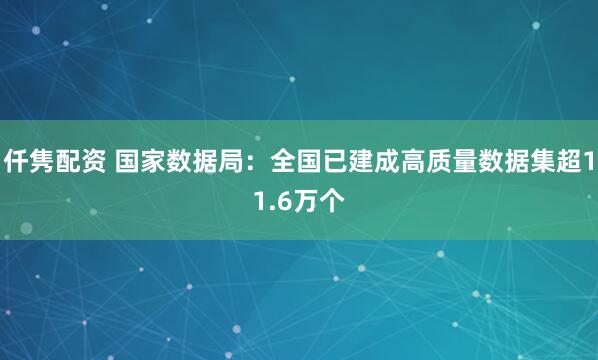 仟隽配资 国家数据局:全国已建成高质量数据集超11.6万个